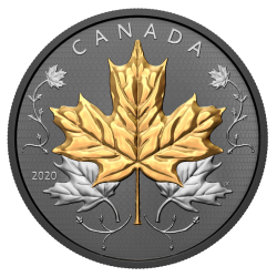 Maple Leaves in Motion 2020